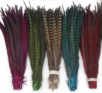 Free shipping 200pcs /color natural Pheasant Feathers 30-35cm/12-14inch pheasant tail feather indian feather headdress accessory
Free shipping 200pcs /color natural Pheasant Feathers 30-35cm/12-14inch pheasant tail feather indian feather headdress accessory