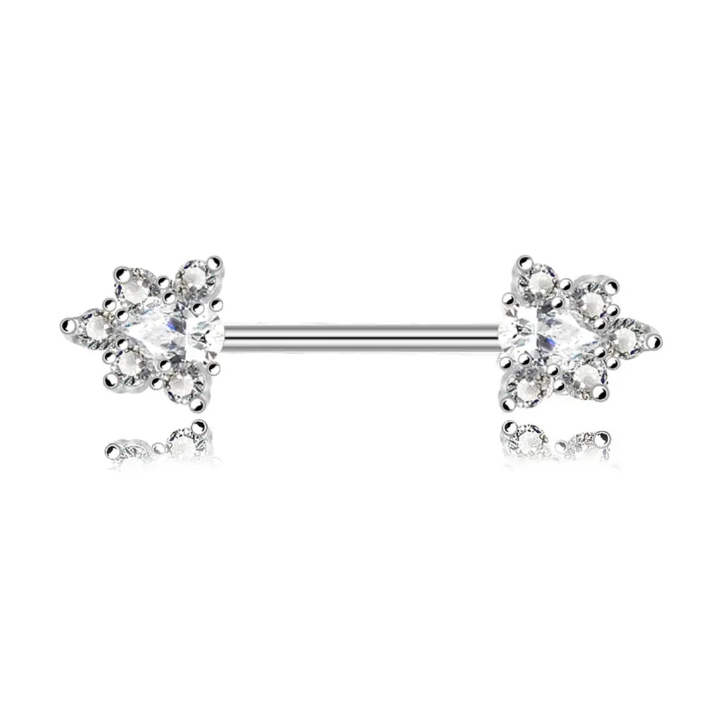 Popular Zircon Women Dangle Nipple Piercing Shields Bars Piercing Nipple Ring Piercing for Women Body Piercing
Popular Zircon Women Dangle Nipple Piercing Shields Bars Piercing Nipple Ring Piercing for Women Body Piercing