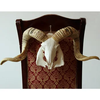 head Arts Crafts Special offer sheep bone specimens of natural Tibetan sheep skull decoration really cow sheep pendant ornaments
head Arts Crafts Special offer sheep bone specimens of natural Tibetan sheep skull decoration really cow sheep pendant ornaments