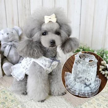 Pet Dog Dress Summer Puppy Clothes Princess Wedding Dress For Small Dogs Lace Embroidered Tutu Skirt Outfit Chihuahua Poodle Pug
Pet Dog Dress Summer Puppy Clothes Princess Wedding Dress For Small Dogs Lace Embroidered Tutu Skirt Outfit Chihuahua Poodle Pug