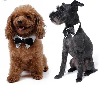 10pcs pet dog cat fashion bow tie doggy wedding necktie grooming puppy ties supplies dogs cats collar pets products S-XL
10pcs pet dog cat fashion bow tie doggy wedding necktie grooming puppy ties supplies dogs cats collar pets products S-XL