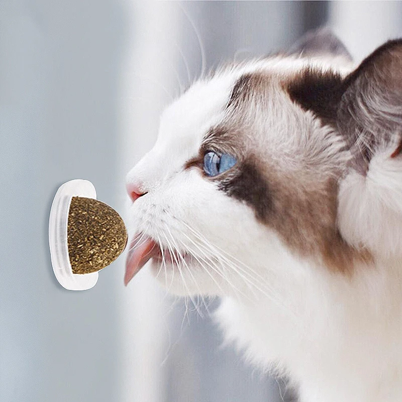 Natural Catnip Toys For Cats Crazy Healthy Cat Toys For Kitten Edible Treating Cleaning Teeth Cat Supplies Pet Toy Pet Products
Natural Catnip Toys For Cats Crazy Healthy Cat Toys For Kitten Edible Treating Cleaning Teeth Cat Supplies Pet Toy Pet Products