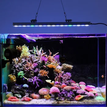 5pcs/lot 54W IP65 Waterproof LED aquarium bar light for reef coral growth fish tank hard strip plant lamp lighting
5pcs/lot 54W IP65 Waterproof LED aquarium bar light for reef coral growth fish tank hard strip plant lamp lighting