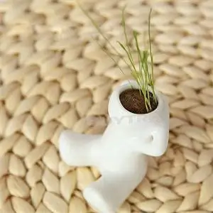 MENGXIANG 4 shape Mini Choose DIY Novel Bonsai Grass Doll Hair White Lazy Man Plant Garden
MENGXIANG 4 shape Mini Choose DIY Novel Bonsai Grass Doll Hair White Lazy Man Plant Garden