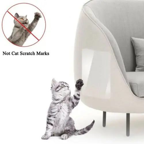 2Pcs Pet Cat Scratching Claw Protector Guard Mat Post Furniture Pads For Sofa Scratchers
2Pcs Pet Cat Scratching Claw Protector Guard Mat Post Furniture Pads For Sofa Scratchers