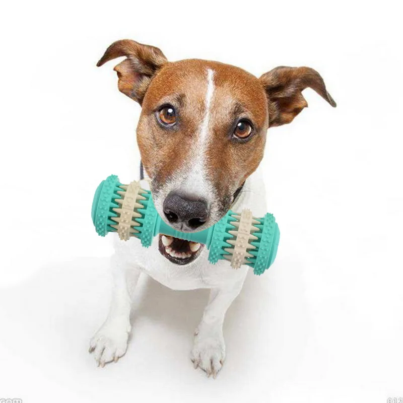 Dumbbell Molar Stick Pet Accessories Durable Pet Dog Chew Toys Non- Rubber Toys Food Effective Cleaning Teeth
Dumbbell Molar Stick Pet Accessories Durable Pet Dog Chew Toys Non- Rubber Toys Food Effective Cleaning Teeth