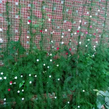 Nylon Trellis Net Garden Fence Mesh Plant Climbing Frame Gardening Net Plant Fence Bird-Preventing Anti-Bird Devices Mesh Net
Nylon Trellis Net Garden Fence Mesh Plant Climbing Frame Gardening Net Plant Fence Bird-Preventing Anti-Bird Devices Mesh Net