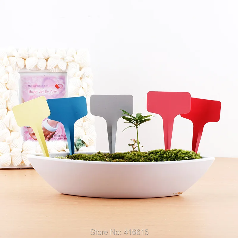 10Pcs 10*6cm T-type Plastic Garden Gardening Label Horticultural Tallies Succulent Plant Flower Bonsai Seedling Tag Colorful
10Pcs 10*6cm T-type Plastic Garden Gardening Label Horticultural Tallies Succulent Plant Flower Bonsai Seedling Tag Colorful