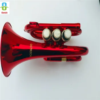 2018 New Professional School Band Red Pocket Trumpet Red Pocket Trumpet with Case+ Brass Pocket Trumpet
2018 New Professional School Band Red Pocket Trumpet Red Pocket Trumpet with Case+ Brass Pocket Trumpet