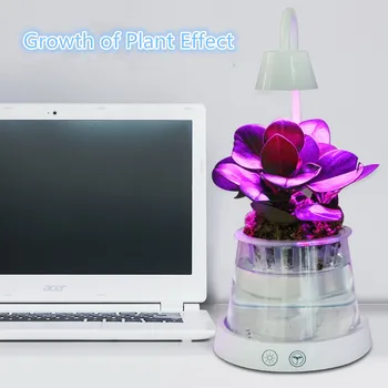 HZFCEW LED Smart Touch Plant Growth Lighting Desk Lamp Flowers and Gardening Lights Night Light Plants Fill Light Office Lamp
HZFCEW LED Smart Touch Plant Growth Lighting Desk Lamp Flowers and Gardening Lights Night Light Plants Fill Light Office Lamp