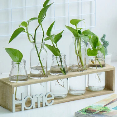 Fresh Postral Style Creative Home Letter Hydroponics Glass Bottle Desktop Wooden Stand Plant Glass Vase Flower Pot Furnishings
Fresh Postral Style Creative Home Letter Hydroponics Glass Bottle Desktop Wooden Stand Plant Glass Vase Flower Pot Furnishings