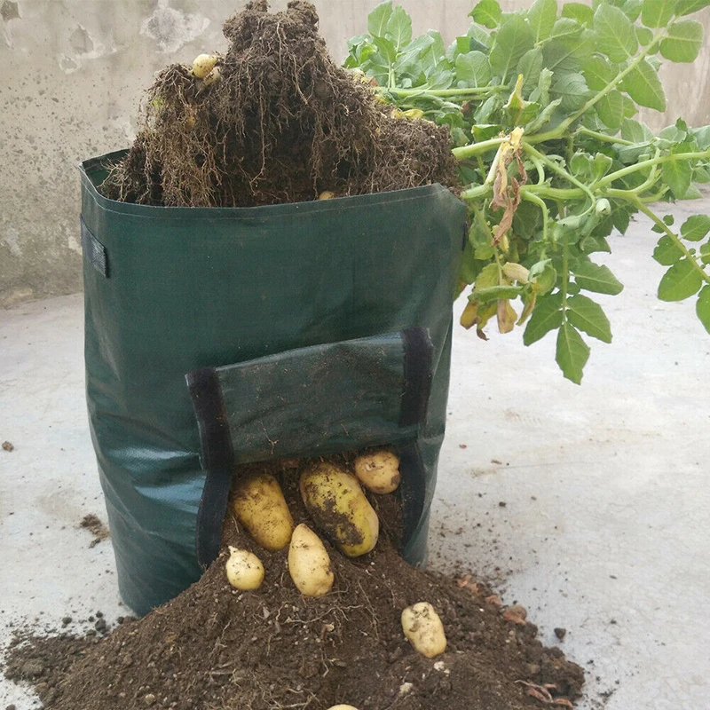 Repeat Potato Grow Planter PE Cloth Planting Container Bag Vegetable gardening jardineria Thicken Garden Pot Planting Grow Bag
Repeat Potato Grow Planter PE Cloth Planting Container Bag Vegetable gardening jardineria Thicken Garden Pot Planting Grow Bag