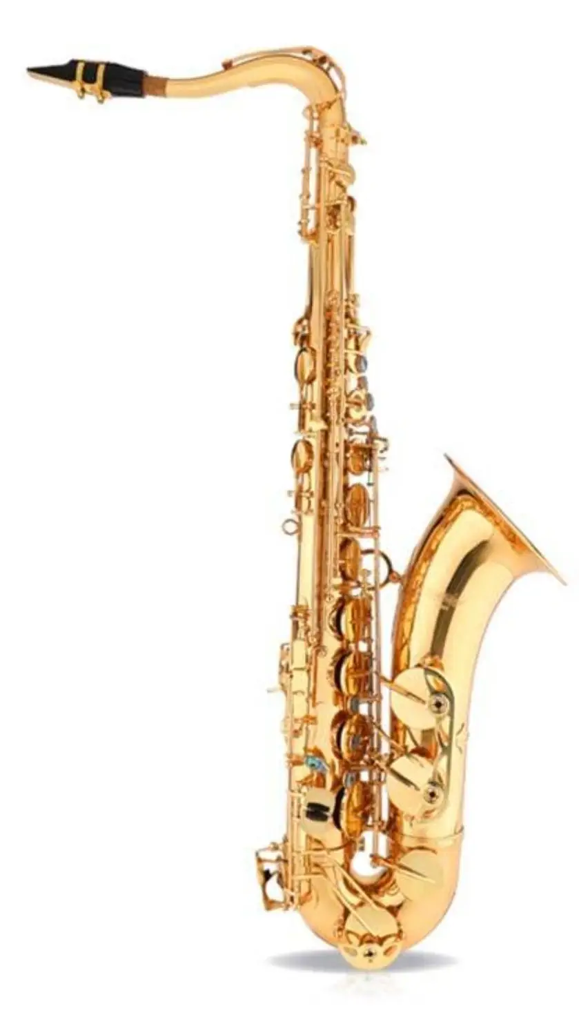 High Quality New Saxophone France STS-R54 Tenor Support Professional Lacquer Gold Tenor Saxophone Sax with Neck
High Quality New Saxophone France STS-R54 Tenor Support Professional Lacquer Gold Tenor Saxophone Sax with Neck