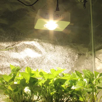 COB LED Grow Light Full Spectrum CREE CXB3590 100W 12000LM 3500K Replace HPS 200W Growing Lamp Indoor LED Plant Growth Lighting
COB LED Grow Light Full Spectrum CREE CXB3590 100W 12000LM 3500K Replace HPS 200W Growing Lamp Indoor LED Plant Growth Lighting