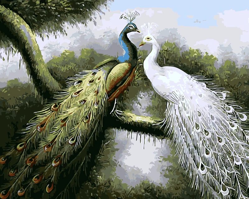 Frameless 40X50cm abstract oil paintings decoration picture Diy Digital painting by numbers wall decor canvas painting peacock
Frameless 40X50cm abstract oil paintings decoration picture Diy Digital painting by numbers wall decor canvas painting peacock