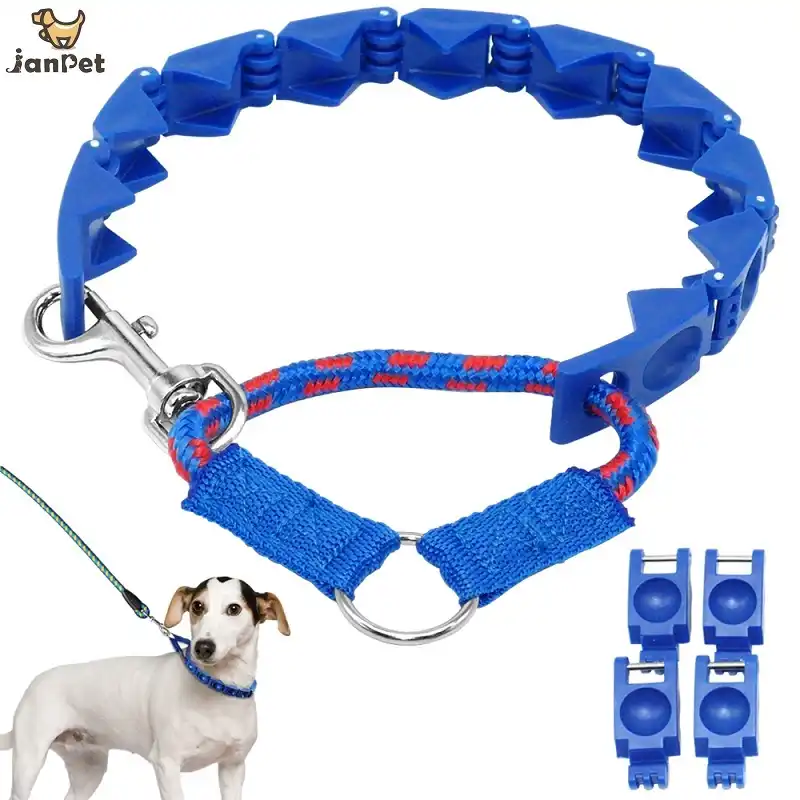 dog training leashes and collars