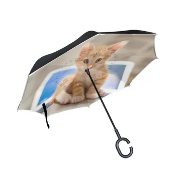 South Korean Bobcat Printed Reverse Umbrella Double Layer Car Reverse Umbrella Rain Women Men Umbrellas Reverse Windproof
South Korean Bobcat Printed Reverse Umbrella Double Layer Car Reverse Umbrella Rain Women Men Umbrellas Reverse Windproof