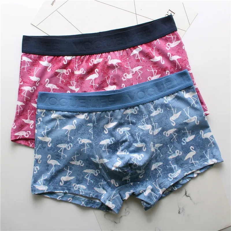 Men's Underwear Men's Cotton Boxer Sexy Men's Underwear 1 Piece Set \ Large Size Large Size Boxer Shorts Underwear
Men's Underwear Men's Cotton Boxer Sexy Men's Underwear 1 Piece Set \ Large Size Large Size Boxer Shorts Underwear