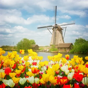 Laeacco Rural Spring Blossom Flower Windmill Scenic Photographic Backgrounds Customized Photography Backdrops For Photo Studio
Laeacco Rural Spring Blossom Flower Windmill Scenic Photographic Backgrounds Customized Photography Backdrops For Photo Studio