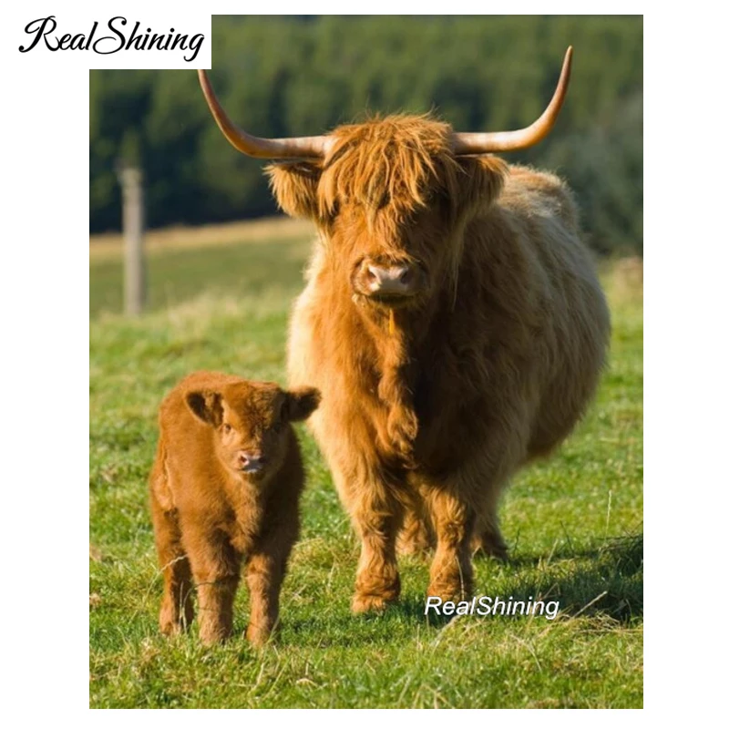 5D Diamond Embroidery Highland cows cattle mother son Full Round DIY Diamond Painting Rhinestone Cross Stitch Mosaic sale FS4385
5D Diamond Embroidery Highland cows cattle mother son Full Round DIY Diamond Painting Rhinestone Cross Stitch Mosaic sale FS4385