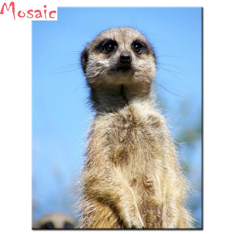 DIY 5D Diamond Mosaic Slender-Tailed Meerkat Full Round/square Drill Diamond Painting Cross Stitch Kit Diamonds Embroidery Home
DIY 5D Diamond Mosaic Slender-Tailed Meerkat Full Round/square Drill Diamond Painting Cross Stitch Kit Diamonds Embroidery Home
