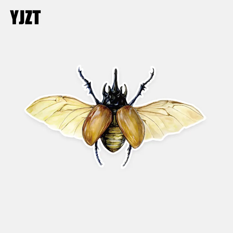 YJZT 14.3*8.1CM Interesting Pretty Flight Beetle Decor Car Stickers High Quality Personalized Colored 11A0619
YJZT 14.3*8.1CM Interesting Pretty Flight Beetle Decor Car Stickers High Quality Personalized Colored 11A0619