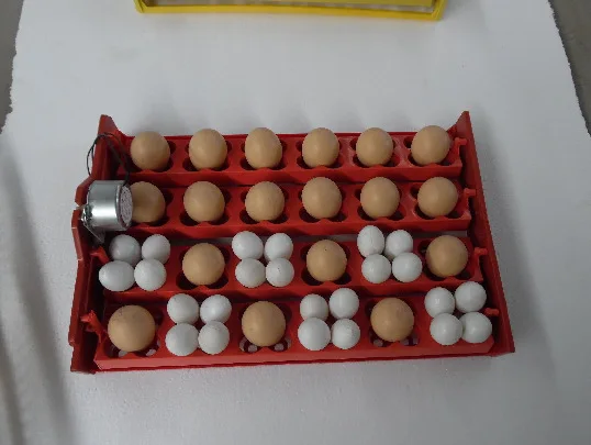 24 Automatic Hatching Machine Multifunction Egg Dish Bird Egg Duck and Goose Dove Disc
24 Automatic Hatching Machine Multifunction Egg Dish Bird Egg Duck and Goose Dove Disc