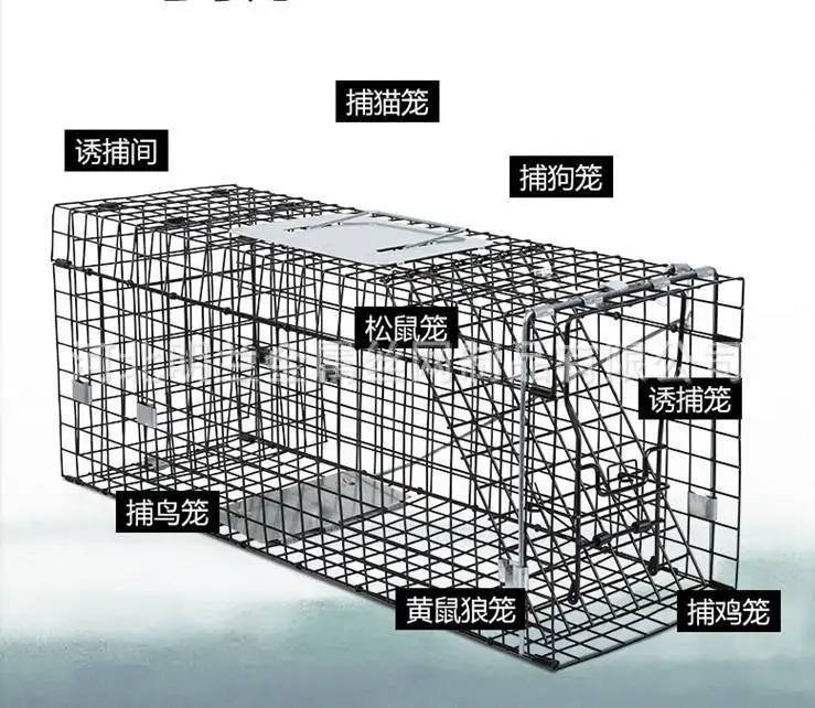 Automatic home artifact trap cage cat artifact catch pigeons catch cat cage reusable animal cage 66x23x25cm
Automatic home artifact trap cage cat artifact catch pigeons catch cat cage reusable animal cage 66x23x25cm