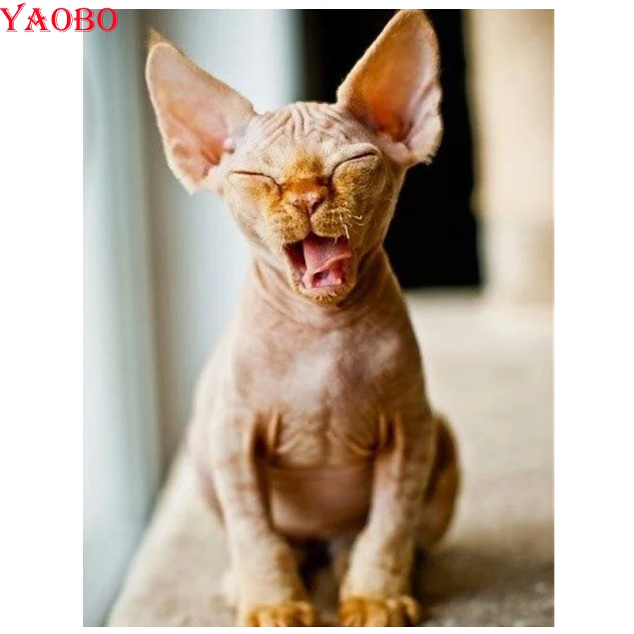 Diamond Embroidery sphynx cats Full Square round Diy 5D Diamond Painting Cross Stitch Kits Animal Arts And Crafts hobby
Diamond Embroidery sphynx cats Full Square round Diy 5D Diamond Painting Cross Stitch Kits Animal Arts And Crafts hobby