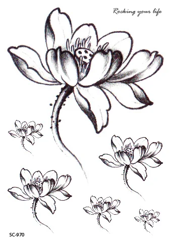 Rocooart Drawing Lotus Flash Tatoo Harajuku Tatouage Body Art Waterproof Temporary Tattoo Sticker Fake Tattoo Taty For Women Men
Rocooart Drawing Lotus Flash Tatoo Harajuku Tatouage Body Art Waterproof Temporary Tattoo Sticker Fake Tattoo Taty For Women Men
