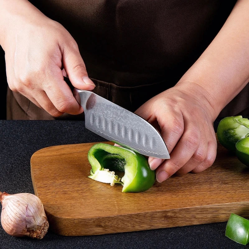 Santoku-Knife-5-Inch-vg10-Japanese-Damascus-Steel-Kitchen-Knife-67-Layers-High-Carbon-Stainless-Steel (1)