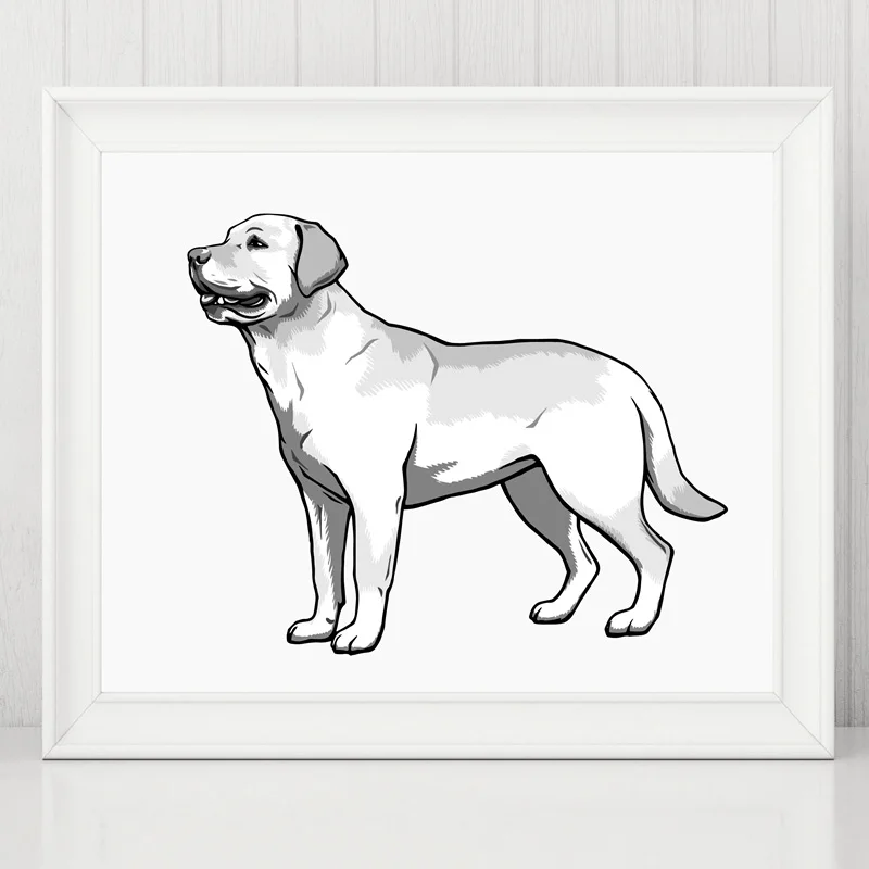 Labrador Retriever canvas print 1