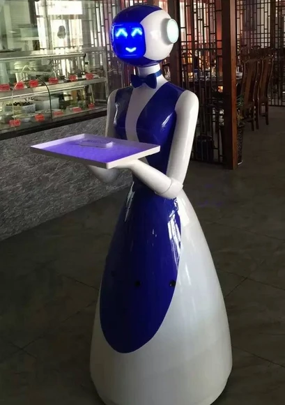theme restaurant Humanoid Restaurant smart Robot Dish delivering service robot
theme restaurant Humanoid Restaurant smart Robot Dish delivering service robot