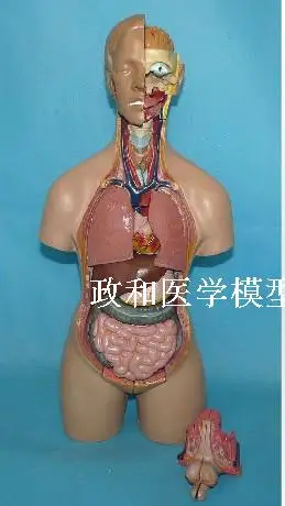 http://gd4.alicdn.com/imgextra/i4/687093950/TB2lnvoaXXXXXbKXpXXXXXXXXXX_!!687093950.jpg