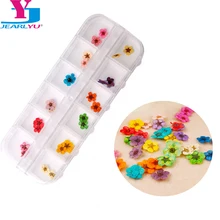 24 Uds decoración de Arte de uñas flor seca 3D manicura polaco verano Real conservado hoja Floral salón seco palo UV Gel acrílico consejos(China)