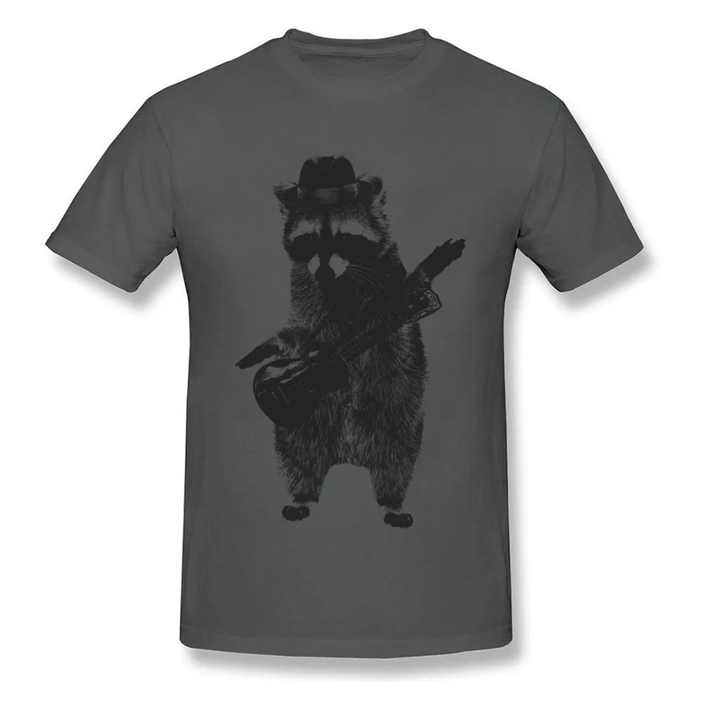 Raccoon wielding ukulele_carbon