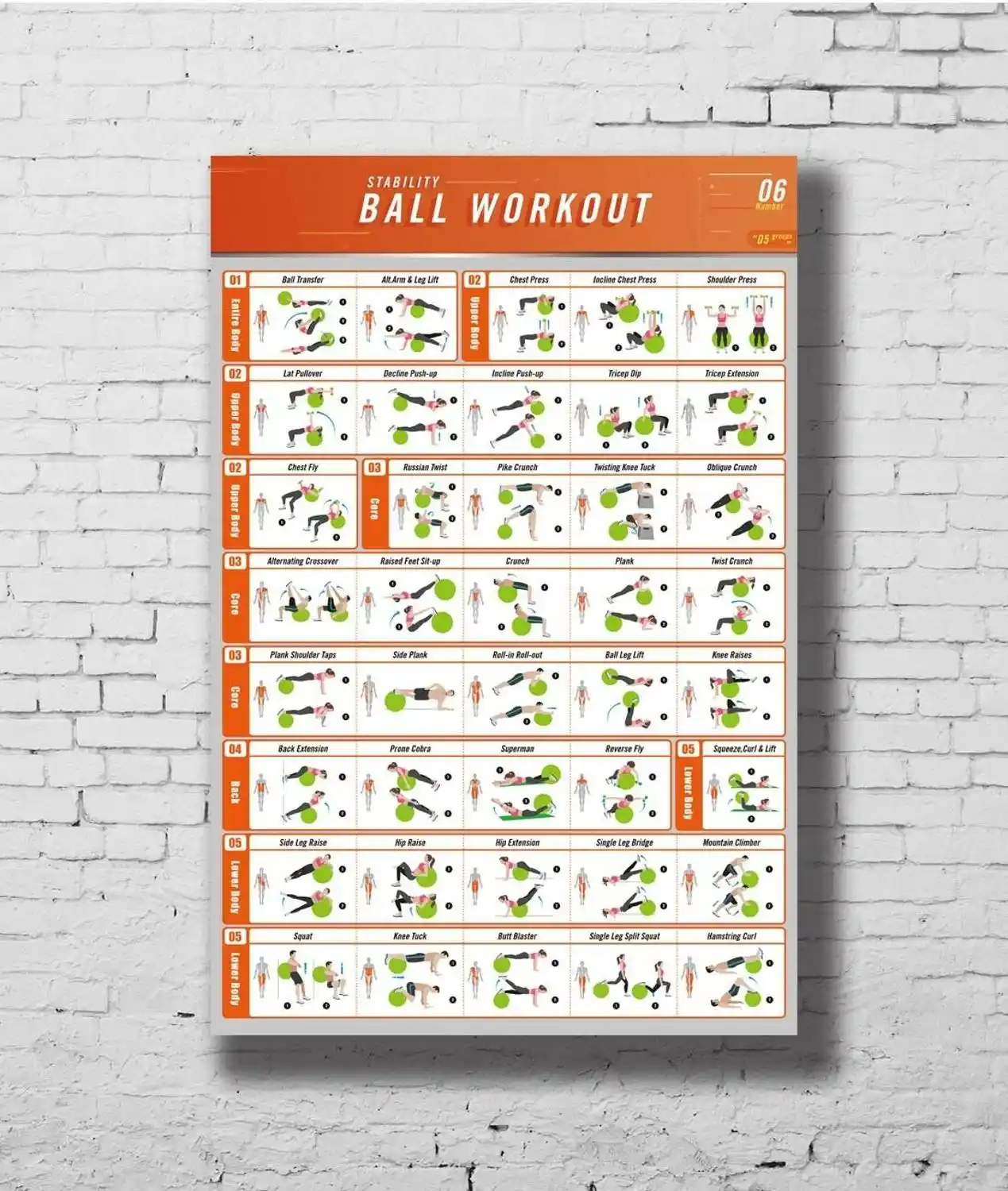 Stability Ball Workout Chart