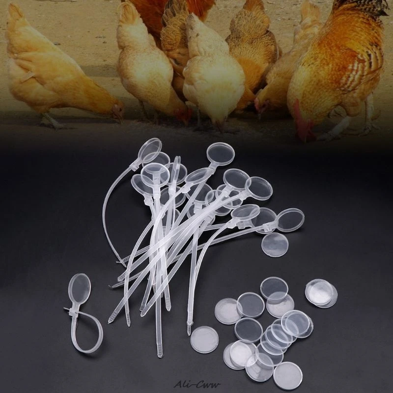 20 Pcs/Set Poultry Anklet Ring Identification Mark Marker Plastic Duck Chicken Hen Chick Goose Crab Paw Rings Equipment
20 Pcs/Set Poultry Anklet Ring Identification Mark Marker Plastic Duck Chicken Hen Chick Goose Crab Paw Rings Equipment