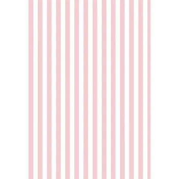 Vinyl Photography Background Pink Stripe Computer Printed Fresh Style Children Backdrops for Photo Studio ZH-105
Vinyl Photography Background Pink Stripe Computer Printed Fresh Style Children Backdrops for Photo Studio ZH-105