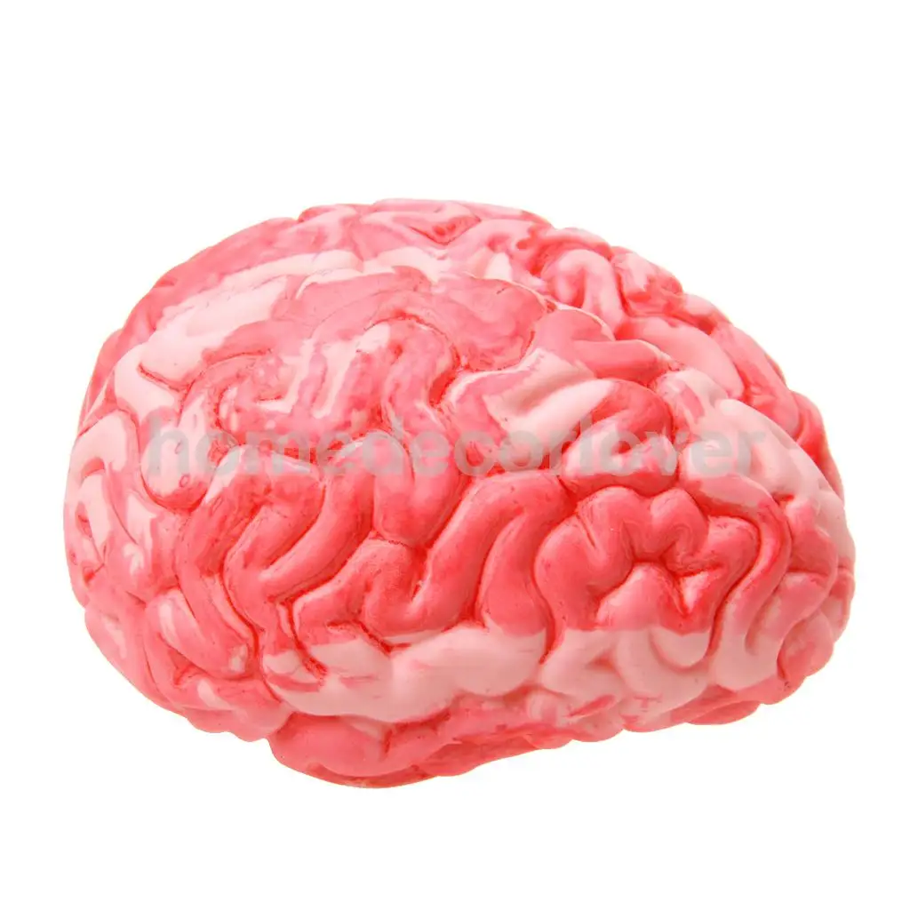 Мастурбатор В Виде Мозгов