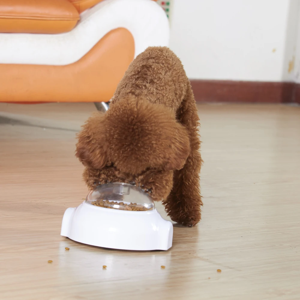 Pet Push Snack Launcher Dog Cat Interesting Interactive Food Dospenser Toy 1 PC Pet Push Snack Launcher Toy
Pet Push Snack Launcher Dog Cat Interesting Interactive Food Dospenser Toy 1 PC Pet Push Snack Launcher Toy