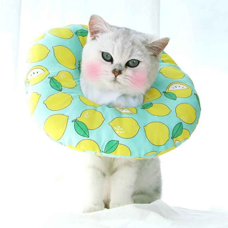 Pet Elizabeth Circle Collar Cotton Dogs Protective Neck Collar Cat Wound Healing Medical Anti Bite Puppy Recovery Scratching
Pet Elizabeth Circle Collar Cotton Dogs Protective Neck Collar Cat Wound Healing Medical Anti Bite Puppy Recovery Scratching