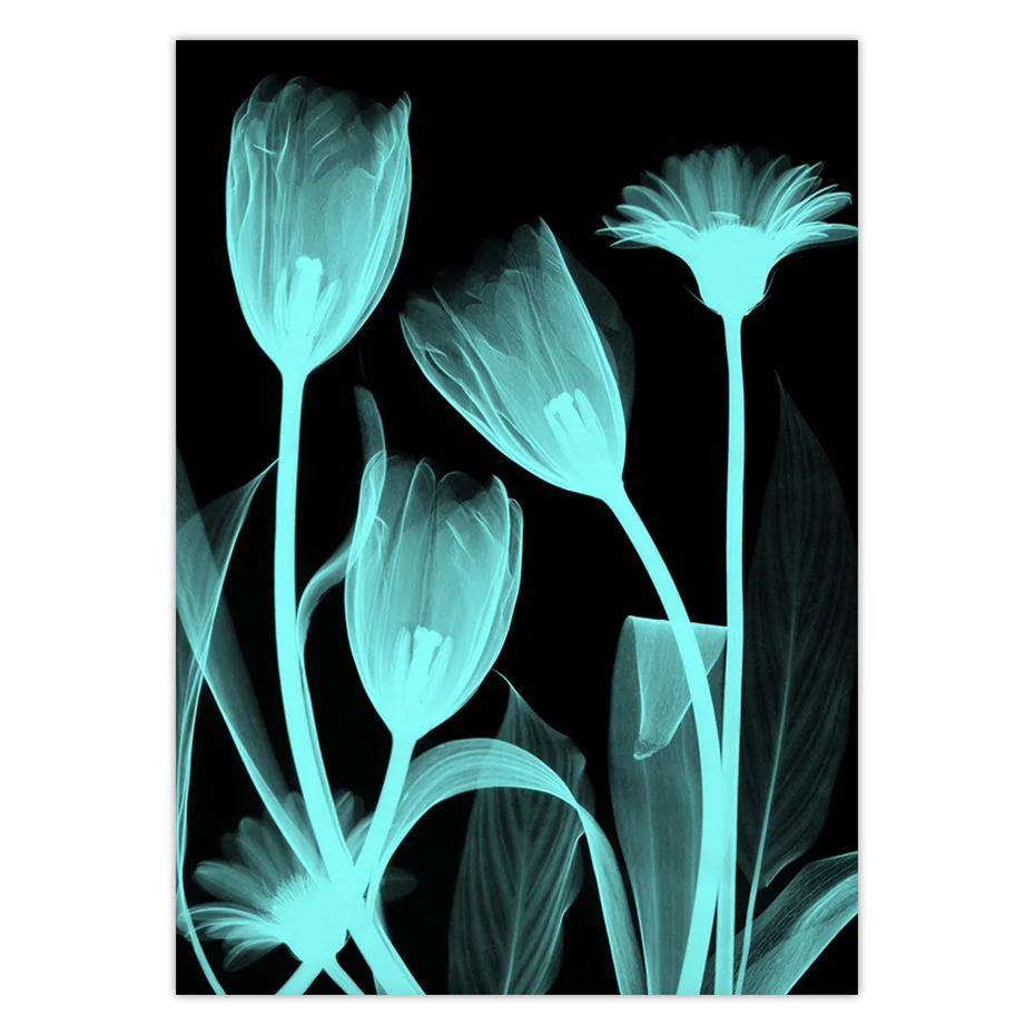 color_opt_2