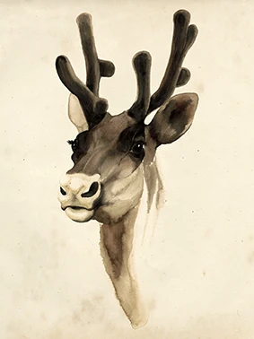 Canvas Art Picture Print Painting Abstract Cartoon Deer Animal Oil Painting on Canvas Wall Art Picture Painting for Home Decor
Canvas Art Picture Print Painting Abstract Cartoon Deer Animal Oil Painting on Canvas Wall Art Picture Painting for Home Decor