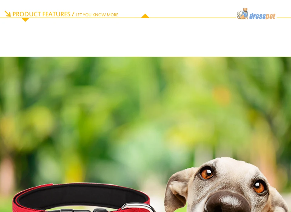 DRESSPET PET DOG Collars (4)