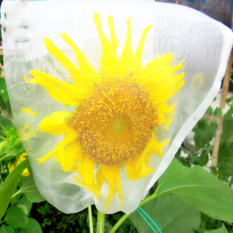 50 PCS/LOT MOST FREE SHIPPING Nylon Bird Net FRUIT Fly REPELLER GRAPES Pest CONTROL Garden Tools Accessories
50 PCS/LOT MOST FREE SHIPPING Nylon Bird Net FRUIT Fly REPELLER GRAPES Pest CONTROL Garden Tools Accessories