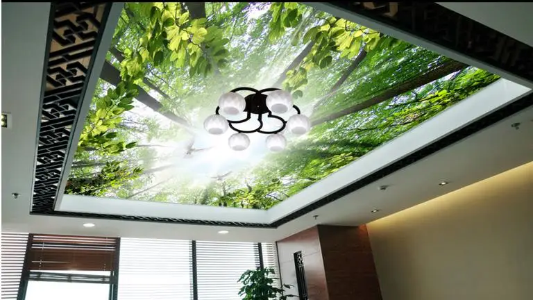 3d стереоскопические высококачественные потолочные фрески на заказ обои голубь