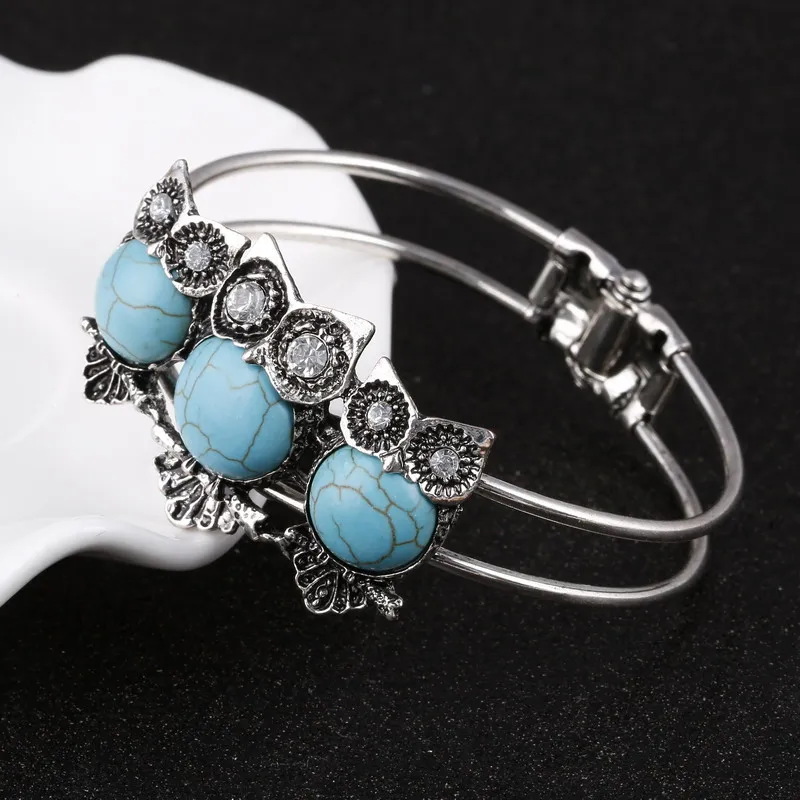 Hesiod Vintage Cute Owl Bangles for Women Retro Rhinestone Crystal Resin Charm Bracelets & Bangles
Hesiod Vintage Cute Owl Bangles for Women Retro Rhinestone Crystal Resin Charm Bracelets & Bangles