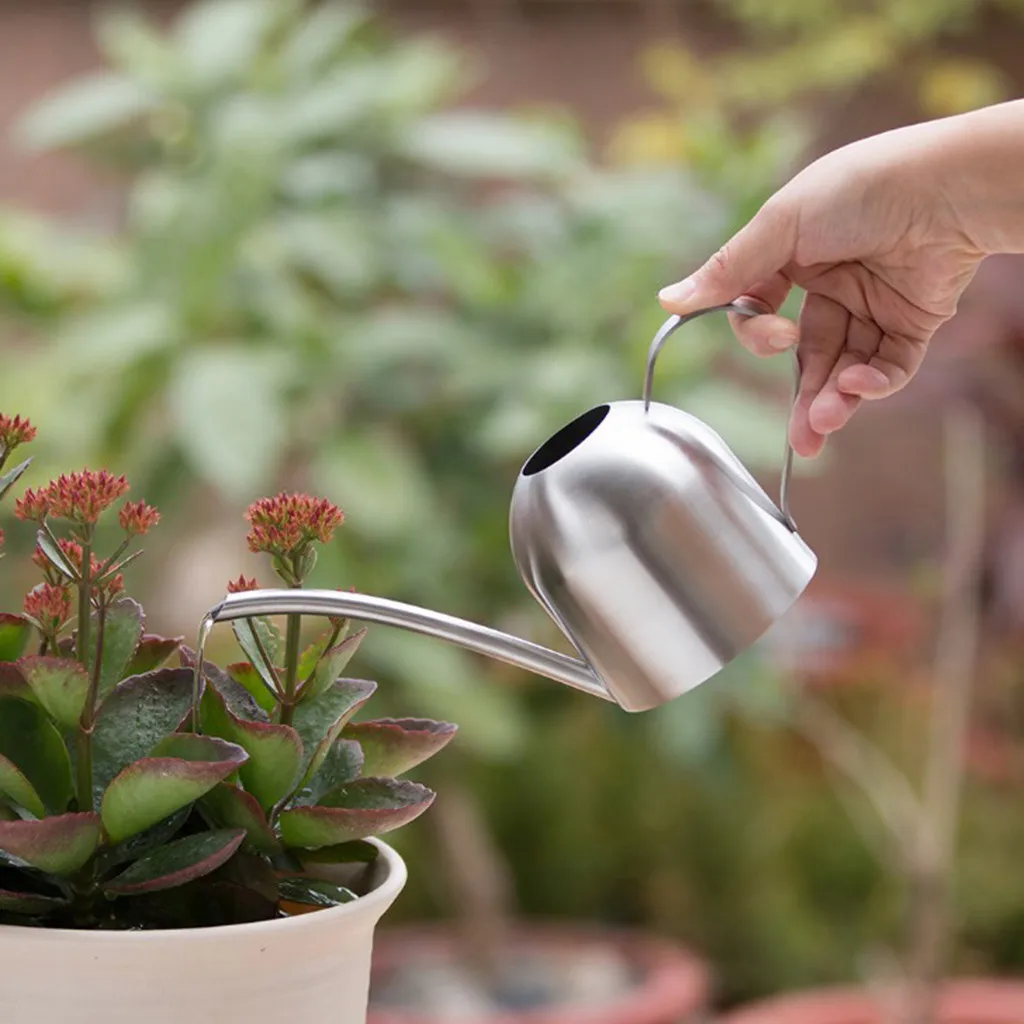 

Stainless Steel Watering Pot Gardening Potted Small Watering Can Indoor Succulent Bonsai Long Spout Watering Flower Kettle 500ml