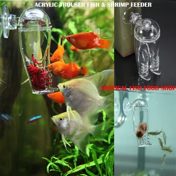 Free shipping 2017 New fish feeder Acrylic workshop Trouser glass feeders,planarian catcheraquarium fish feeder shrimp feeder
Free shipping 2017 New fish feeder Acrylic workshop Trouser glass feeders,planarian catcheraquarium fish feeder shrimp feeder